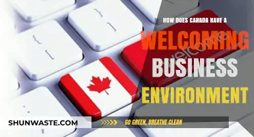 Canada's Business Environment: A Welcoming Hub for Global Entrepreneurs