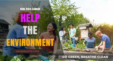 Canada's Green Initiatives: Protecting Nature and Combating Climate Change