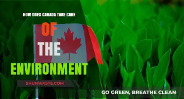 Canada's Green Commitment: Environmental Stewardship and Sustainable Practices