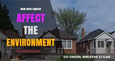 Cancer's Ecological Impact: Unveiling Environmental Consequences and Sustainability Challenges