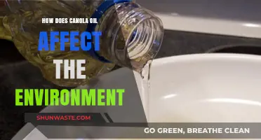 Canola Oil's Environmental Impact: Sustainability, Farming, and Ecosystem Effects