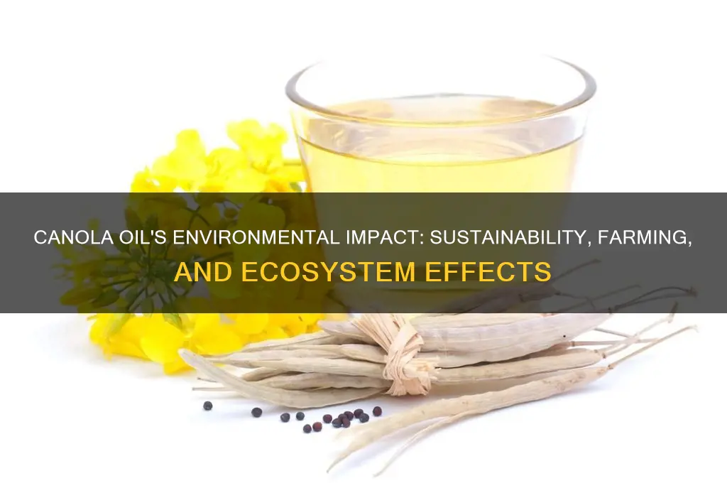 how does canola oil affect the environment