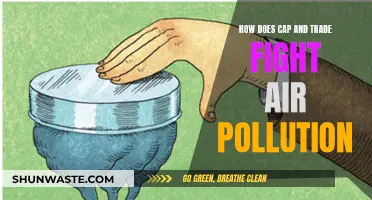 Cap and Trade: Fighting Air Pollution