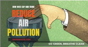 Cap and Trade: Reducing Air Pollution, How?