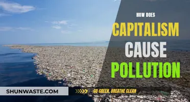 Capitalism's Environmental Cost: Unveiling the Pollution Crisis