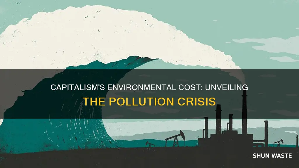 how does capitalism cause pollution