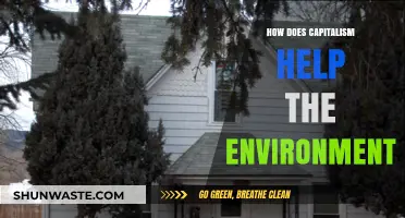Capitalism's Green Side: How Market Forces Drive Environmental Innovation