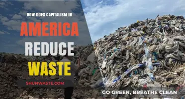 Capitalism's Role in Reducing Waste: America's Innovative Solutions
