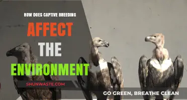 Captive Breeding's Environmental Impact: Conservation or Ecological Disruption?