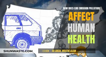 Car Emissions: Human Health Hazards