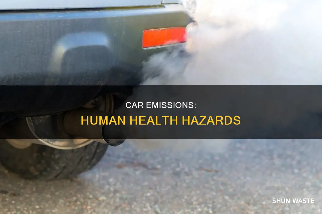 how does car emission pollution affect human health