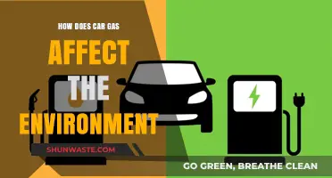 Car Gas Emissions: Environmental Impact and Sustainable Alternatives Explained