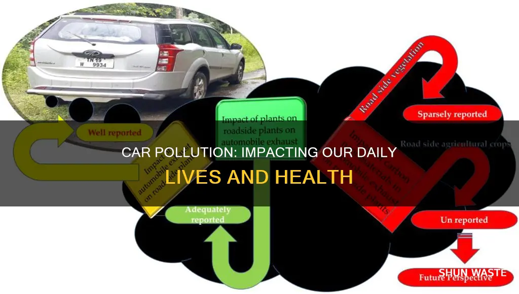 how does car pollution affect people