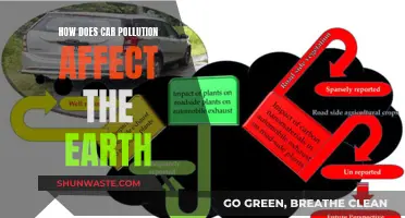 Car Pollution: Earth's Adversary