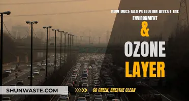 Car Pollution: Environment and Ozone Layer Impact