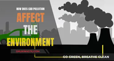 Car Pollution: Damaging Our Environment and Health