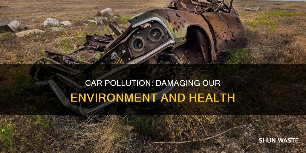 how does car pollution affect the environment