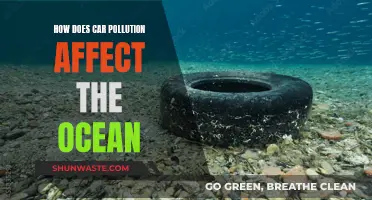 Car Pollution's Impact: Oceans in Danger