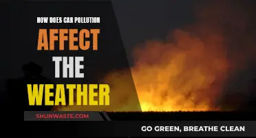 Car Pollution: Weather Impact and Our Future Climate