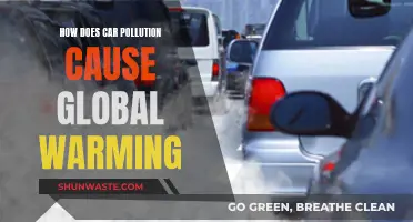 Car Emissions: The Hidden Warming Factor in Global Climate Change