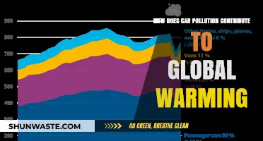 Car Pollution: Warming Our Planet