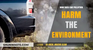 Car Pollution: Harming Our Environment, Hurting Our Future