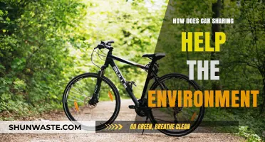 Car Sharing: A Sustainable Solution for Reducing Environmental Impact