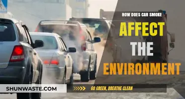 Car Smoke's Environmental Impact: Pollution, Climate Change, and Health Risks