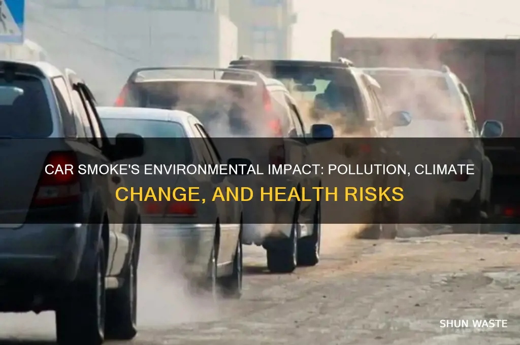 how does car smoke affect the environment