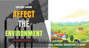 Carbon's Environmental Impact: Understanding Its Role and Consequences