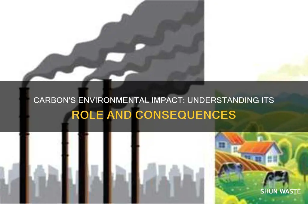 how does carbon affect the environment