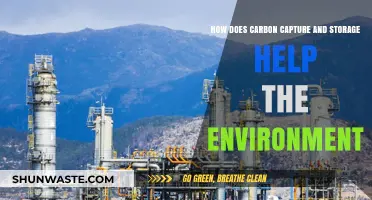 Carbon Capture and Storage: A Key Solution for Environmental Sustainability