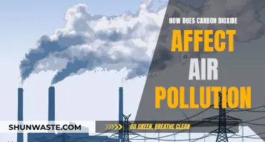 Carbon Dioxide's Impact on Air Pollution