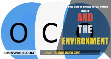 Carbon Dioxide's Impact: Human Health and Environmental Consequences Explained