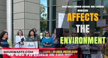 Carbon Dioxide vs. Carbon Monoxide: Environmental Impacts and Consequences