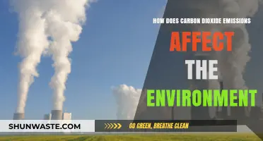 Carbon Dioxide Emissions: Environmental Impacts and Global Consequences Explained