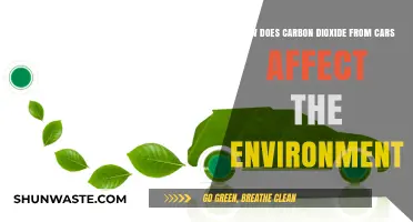 Car Emissions: How Carbon Dioxide Harms Our Environment and Climate