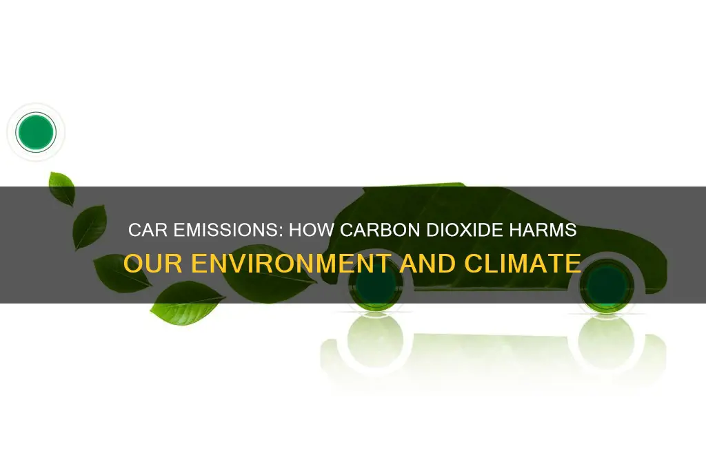 how does carbon dioxide from cars affect the environment