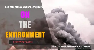 Carbon Dioxide's Environmental Impact: Climate Change, Ecosystems, and Solutions