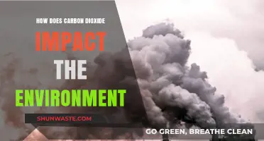 Carbon Dioxide's Environmental Impact: Climate Change, Ecosystems, and Solutions