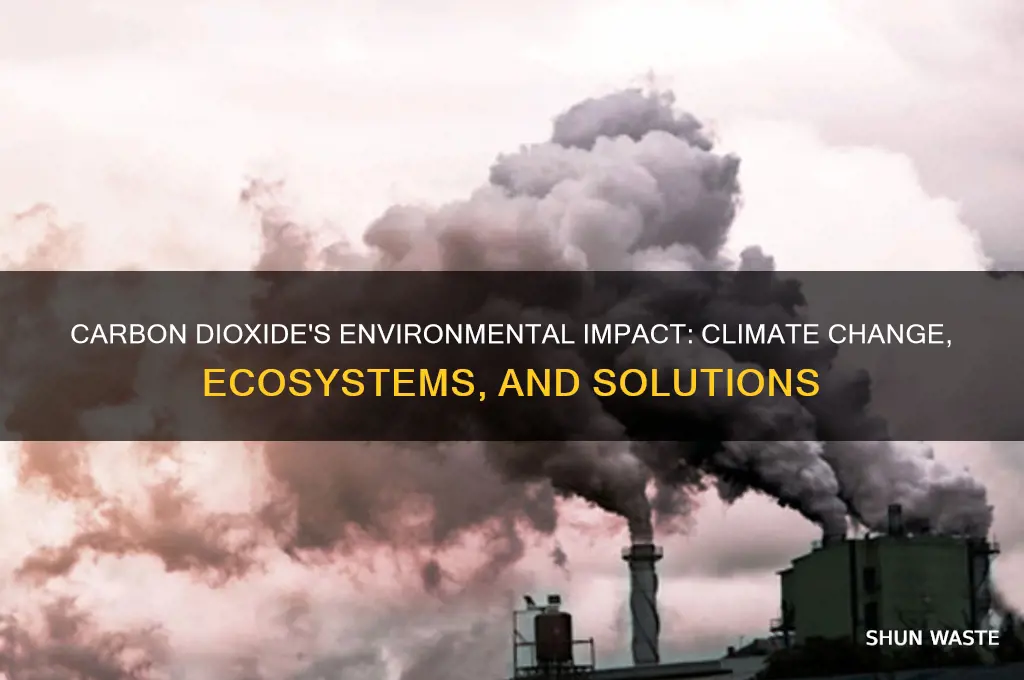 how does carbon dioxide impact the environment