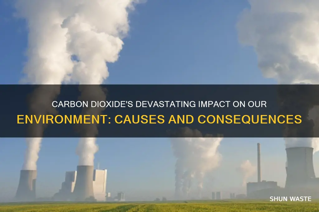 how does carbon dioxide negatively affect the environment