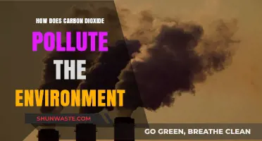 Carbon Dioxide's Environmental Impact: Understanding the Pollution