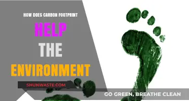 Reducing Carbon Footprint: A Key Step to Protecting Our Environment