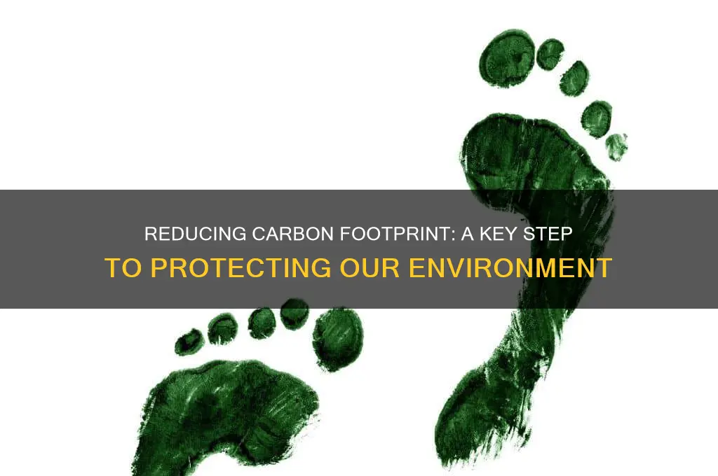 how does carbon footprint help the environment