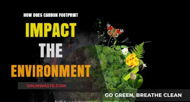 Carbon Footprint's Environmental Impact: Understanding Consequences and Sustainable Solutions