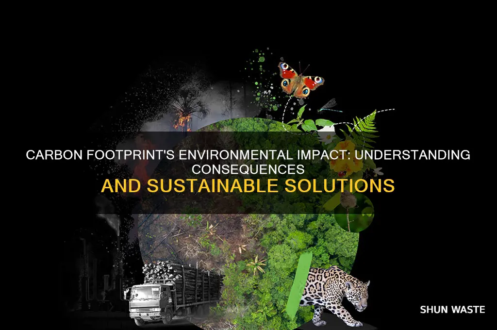 how does carbon footprint impact the environment