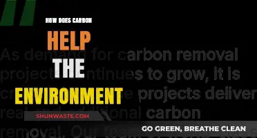 Carbon's Surprising Role: Boosting Ecosystems and Fighting Climate Change