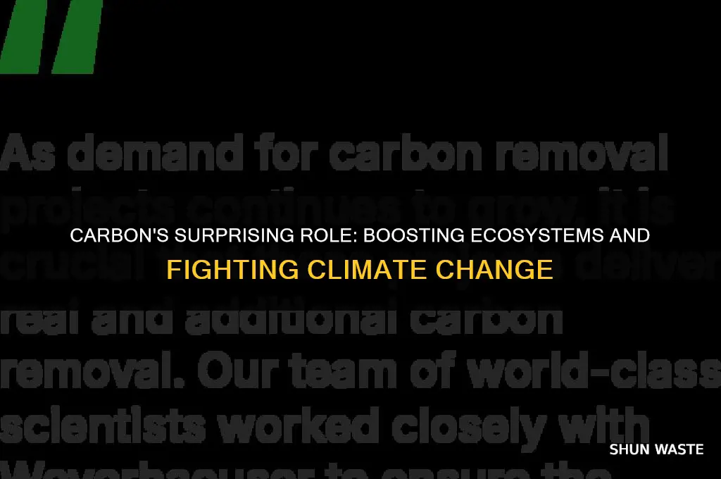 how does carbon help the environment