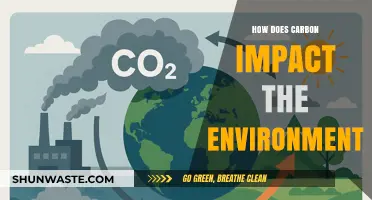 Carbon's Environmental Impact: Understanding Its Role and Consequences